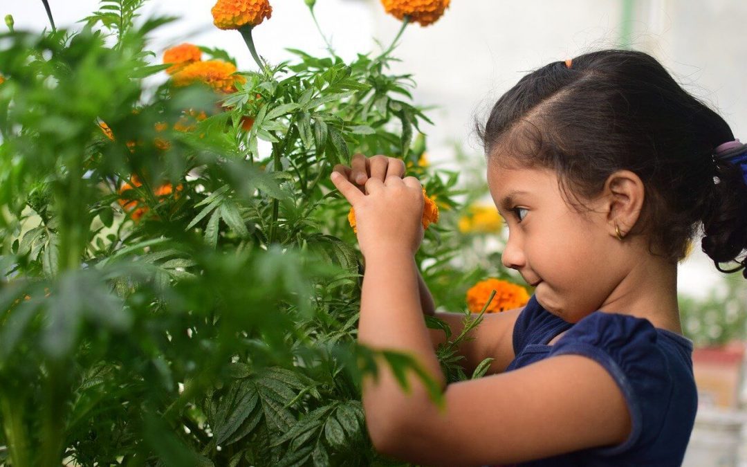 7 Tips for Gardening With Kids
